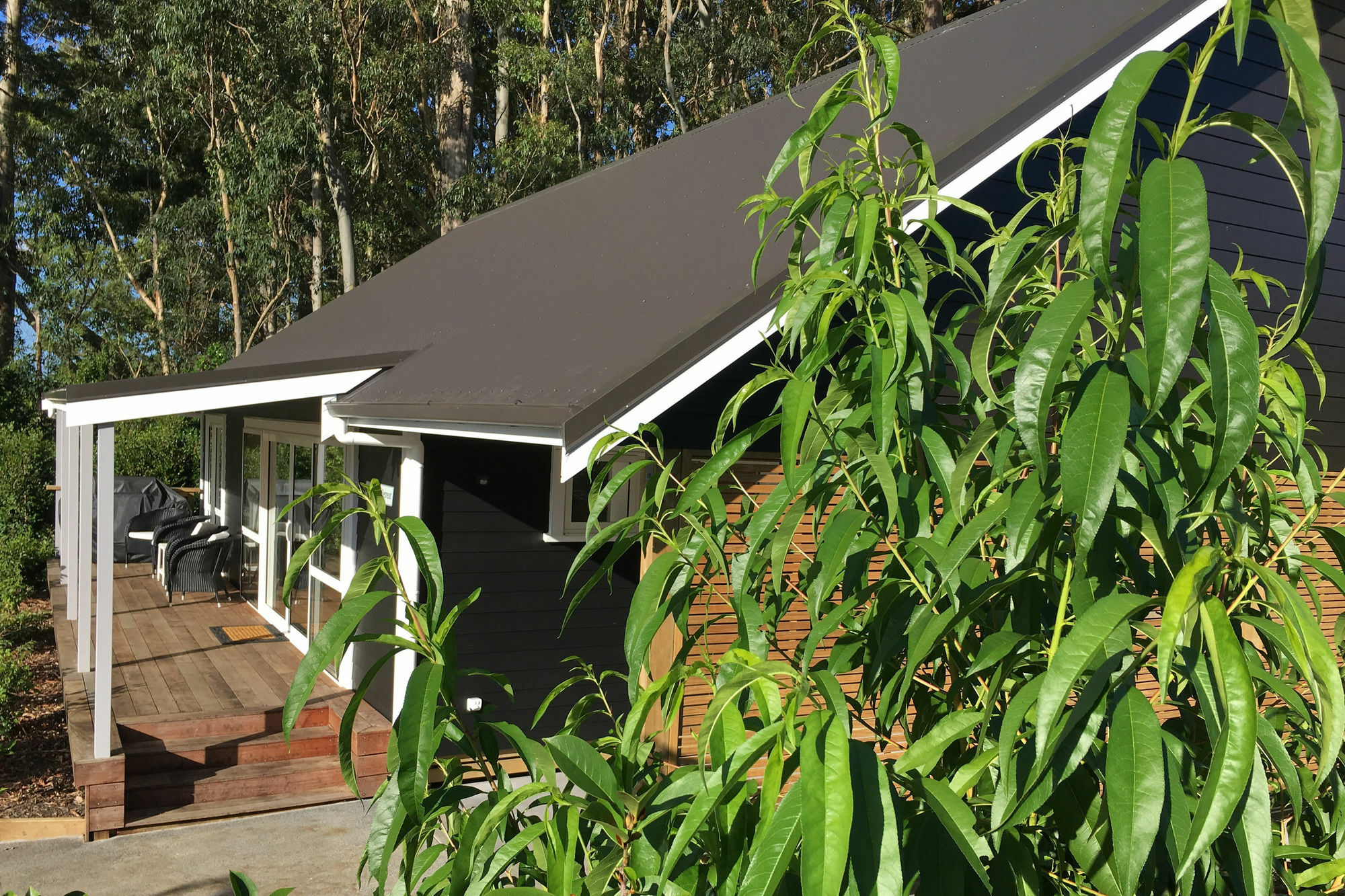 كيريكيري Treghan Luxury Lodge المظهر الخارجي الصورة